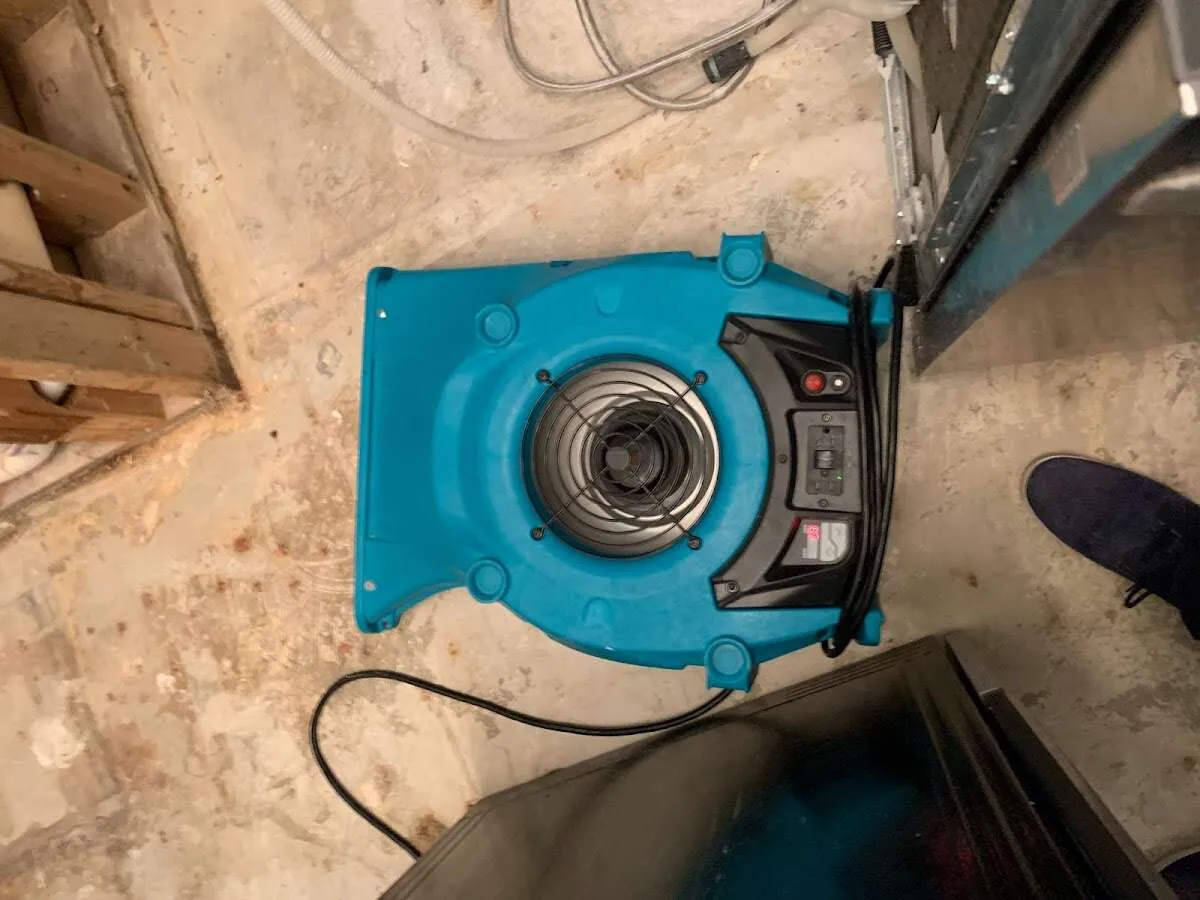 Air mover drying equipment for Mold Remediation & Removal in Kewanee